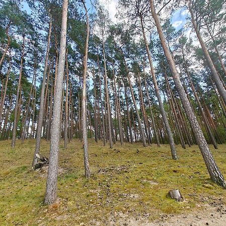 Lesna Ostoja W Centrum Puszczy Nadnoteckiej Otoczona 3 Jeziorami Miedzychod 외부 사진