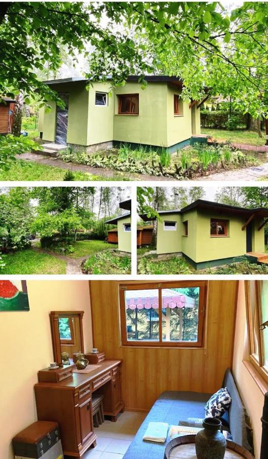 Lesna Ostoja W Centrum Puszczy Nadnoteckiej Otoczona 3 Jeziorami Miedzychod 외부 사진